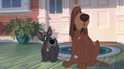 кадр из фильма Леди и бродяга 2: Приключения Шалуна (Lady and the Tramp II: Scamp's Adventure) - 5