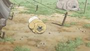 кадр из фильма Тибетский пес (Tibet inu monogatari) - 2
