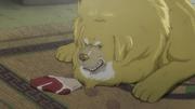 кадр из фильма Тибетский пес (Tibet inu monogatari) - 9