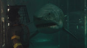 кадр из фильма Цунами 3D (Bait) - 4
