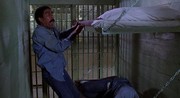 кадр из фильма Буйнопомешанные (Stir Crazy) - 5