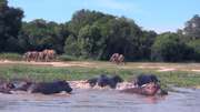 кадр из фильма Сафари (3D Safari: Africa) - 5