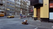 кадр из фильма В год тринадцати лун (In einem Jahr mit 13 Monden) - 2