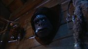кадр из фильма Майти Буш (The Mighty Boosh) - 14