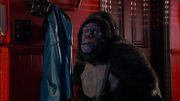 кадр из фильма Майти Буш (The Mighty Boosh) - 15