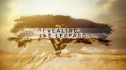 кадр из фильма Nature: Тайная жизнь леопарда (Revealing the Leopard) - 1