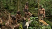 кадр из фильма Nature: Собаки, которые изменили мир (Dogs That Changed the World) - 5
