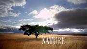 кадр из фильма Nature: Куба. Случайный рай (Cuba: The Accidental Eden) - 1