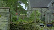 кадр из фильма BBC: Тайная жизнь птиц (Secret Life of Birds) - 9