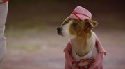 кадр из фильма Санта Лапус 2: Санта лапушки (Santa Paws 2: The Santa Pups) - 1