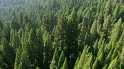 кадр из фильма BBC: Как вырастить планету (How to Grow a Planet) - 1