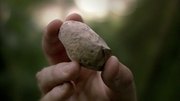 кадр из фильма BBC: Как вырастить планету (How to Grow a Planet) - 7
