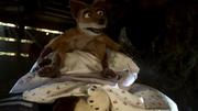 кадр из фильма Дворняги (Mongrels) - 29