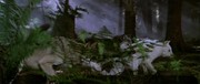 кадр из фильма Клан Пещерного Медведя (The Clan of the Cave Bear) - 3