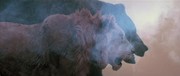 кадр из фильма Клан Пещерного Медведя (The Clan of the Cave Bear) - 5
