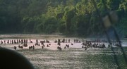 кадр из фильма Фицкарральдо (Fitzcarraldo) - 6