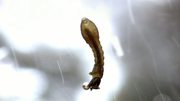 кадр из фильма Водная жизнь (Water life) - 10