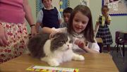 кадр из фильма Энциклопедия кошек (Cats 101) - 10