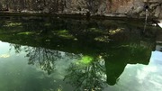 кадр из фильма Водная жизнь (Water life) - 17