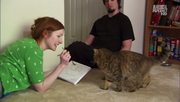 кадр из фильма Энциклопедия кошек (Cats 101) - 17