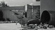 кадр из фильма Франкенвини (Frankenweenie) - 3