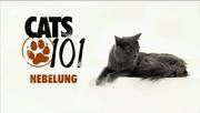 кадр из фильма Энциклопедия кошек (Cats 101) - 30