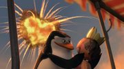кадр из фильма Безумный Мадагаскар (Madly Madagascar) - 9