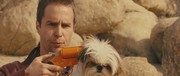 кадр из фильма Семь психопатов (Seven Psychopaths) - 20