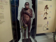 кадр из фильма Тайна происхождения человека (Mysterious Origins of Man) - 2