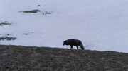 кадр из фильма На краю (At the Edge) - 7