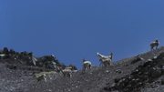 кадр из фильма На краю (At the Edge) - 8
