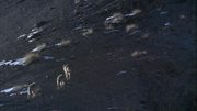 кадр из фильма На краю (At the Edge) - 9