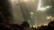 кадр из фильма Водная жизнь (Water life) - 49