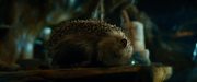 кадр из фильма Хоббит: Нежданное путешествие (The Hobbit: An Unexpected Journey) - 40