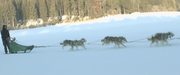 кадр из фильма Человек хаски (Der Huskymann) - 4