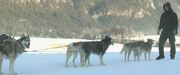 кадр из фильма Человек хаски (Der Huskymann) - 5