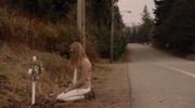 кадр из фильма Мотель Бейтсов (Bates Motel) - 5