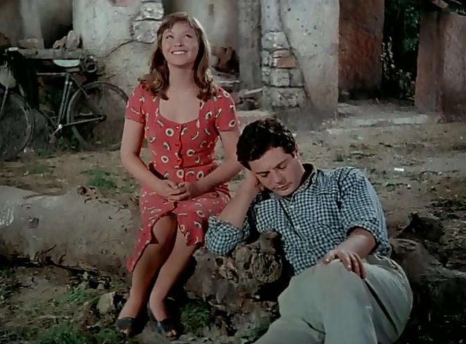 Ava D'amore