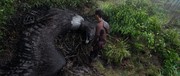 кадр из фильма После нашей эры (After Earth) - 28