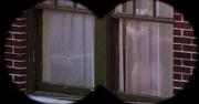 219851 thumb