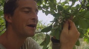 кадр из фильма Выжить любой ценой (Man vs. Wild) - 6