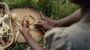 кадр из фильма 12 лет рабства (12 Years a Slave) - 7
