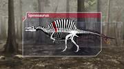 кадр из фильма Планета динозавров (Planet Dinosaur) - 3