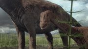 кадр из фильма Планета динозавров (Planet Dinosaur) - 10