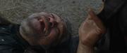 236894 thumb