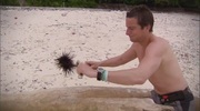 кадр из фильма Выжить любой ценой (Man vs. Wild) - 16