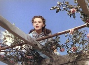 кадр из фильма Бог ей судья (Leave Her to Heaven) - 6