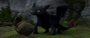 кадр из фильма Как приручить дракона (How to Train Your Dragon) - 13