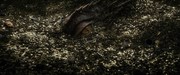 кадр из фильма Хоббит: Пустошь Смауга (The Hobbit: The Desolation of Smaug) - 70