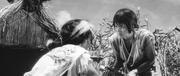 кадр из фильма Женщина-демон (Onibaba) - 8